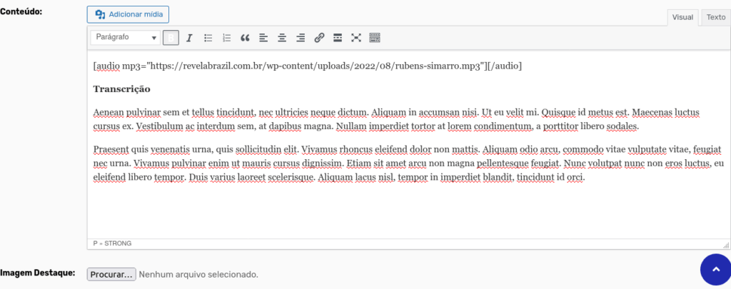 Imagem ilustrando a mídia inserida e um texto de transcrição.